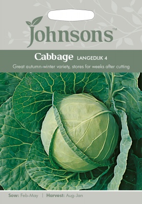 Cabbage Seeds 'Langedijk 4' by Johnsons
