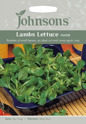 Lambs Lettuce Seeds 'Favor' by Johnsons