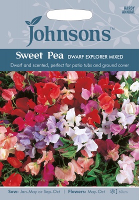 Sweet Pea Seeds 'Dwarf Explorer Mixed' by Johnsons