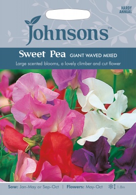 Sweet Pea Seeds 'Giant Waved Mixed' by Johnsons