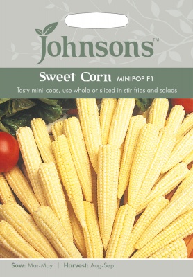 Sweet Corn 'Minipop F1' by Johnsons