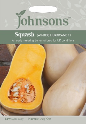 Butternut Squash Seeds 'Hurricane F1' (Winter) by Johnsons
