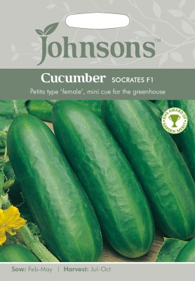 Cucumber Seeds Socrates F1 by Johnsons