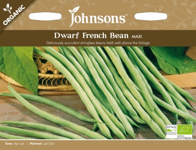 Organic Dwarf French Bean Seeds Maxi by Johnsons