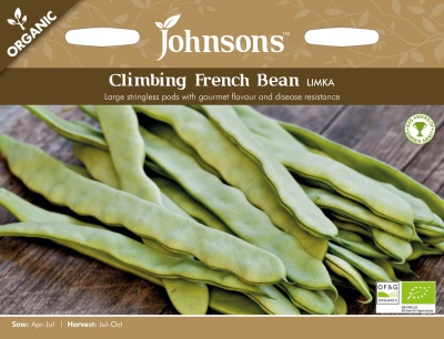 Organic French Bean Seeds (Climbing) Limka by Johnsons