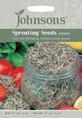 Sprouting Alfalfa Seeds by Johnsons