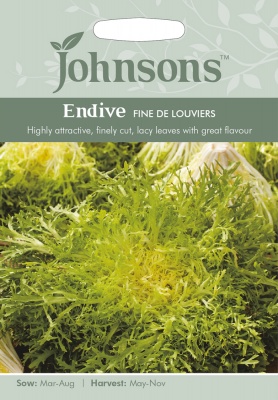 Endive Seeds 'Fine De Louviers' by Johnsons