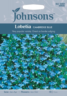 Lobelia 'Cambridge Blue' Upright Seeds by Johnsons