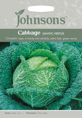 Savoy Cabbage Seeds 'Vertus' by Johnsons