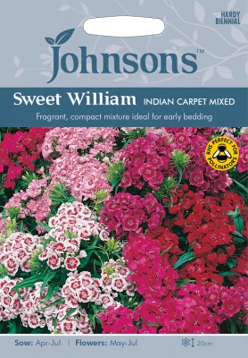 Sweet William Seeds 'Indian Carpet Mixed' by Johnsons