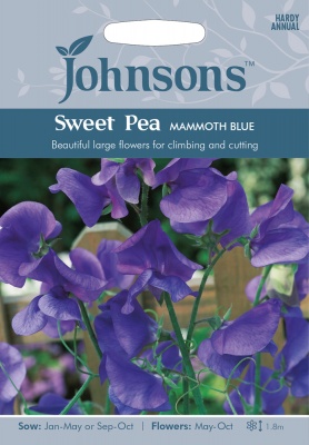 Sweet Pea 'Mammoth Blue' Seeds by Johnsons