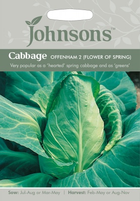 Cabbage Seeds 'Offenham 2' by Johnsons