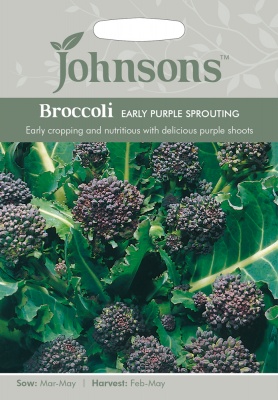 Broccoli Seeds Early Purple Sprouting by Johnsons