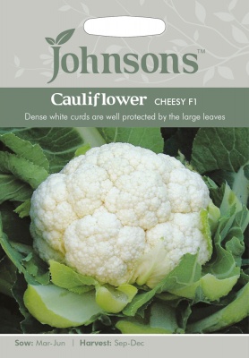 Cauliflower Seeds Cheesy F1 by Johnsons