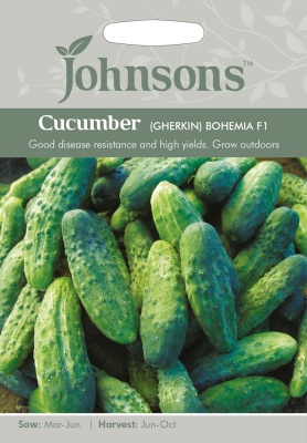 Gherkin Seeds 'Bohemia F1' by Johnsons