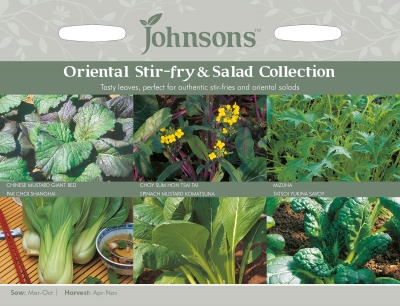 Oriental Stir-fry & Salad Seeds Collection by Johnsons