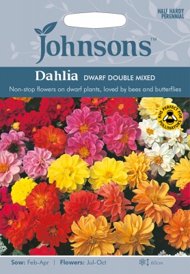 Dahlia 'Dwarf Double Mixed' Seeds by Johnsons