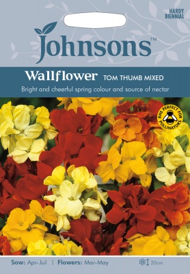 Wallflower Seeds 'Tom Thumb Mixed' by Johnsons