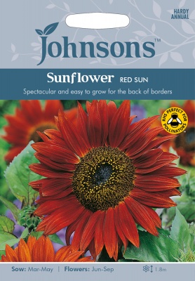 Sunflower 'Red Sun' Seeds by Johnsons