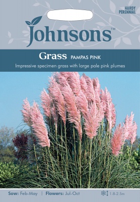 Pampas Grass Pink Seeds by Johnsons