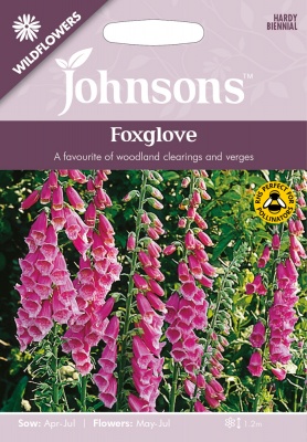 Foxglove Wildflower Seeds by Johnsons