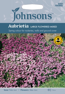 Aubrietia 'Large Flowered Mixed' Seeds by Johnsons