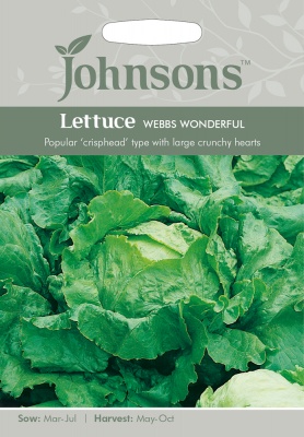 Lettuce Seeds 'Webbs Wonderful' by Johnsons
