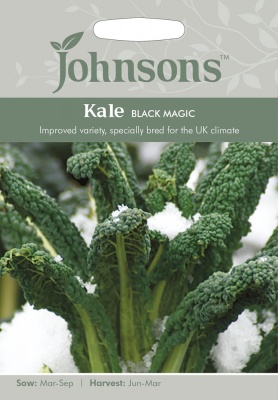Kale Seeds 'Black Magic' by Johnsons