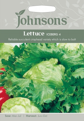 Lettuce 'Iceberg 4' Seeds - Johnson's Seeds