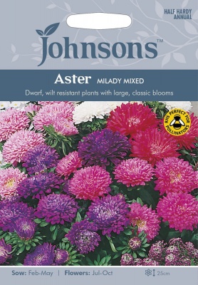 Aster 'Milady Mixed' Seeds by Johnsons