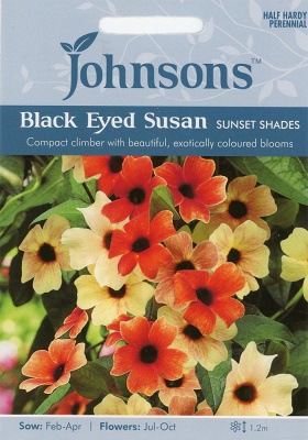 Black Eyed Susan Sunset Shades Seeds by Johnsons