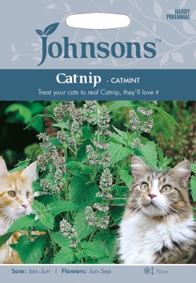 Catnip Catmint Seeds by Johnsons