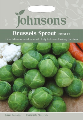 Brussels Sprout Seeds Brest F1 by Johnsons
