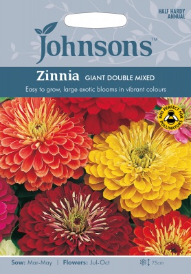 Zinnia Seeds Giant Double Mixed by Johnsons