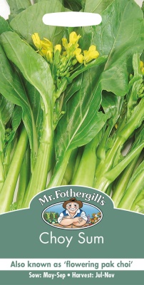 Choy Sum Seeds by Mr Fothergills