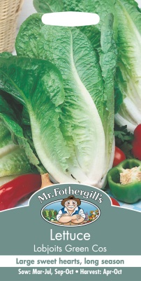 Lettuce Seeds Lobjoits Green Cos by Mr Fothergills