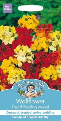 Wallflower Seeds Dwarf Bedding Mixed by Mr Fothergill's