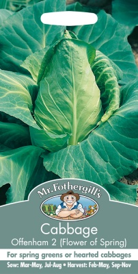 Cabbage Seeds Offenham 2 by Mr Fothergills