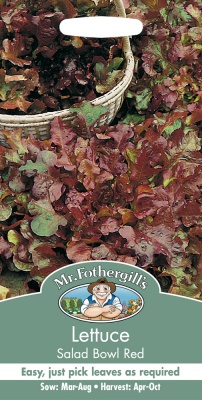 Lettuce Seeds 'Salad Bowl Red' by Mr Fothergill's