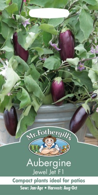 Aubergine Seeds Jewel Jet By Mr Fothergill's