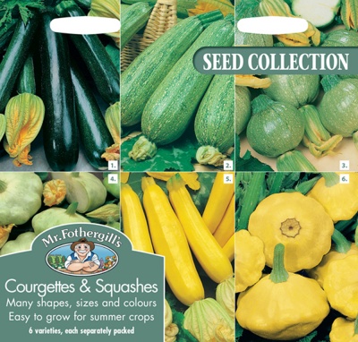 Courgette and Squashes Collection by Mr Fothergill's