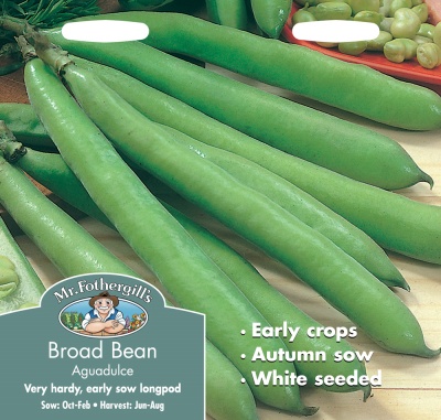 Broad Bean Seeds Aguadulce by Mr Fothergill's
