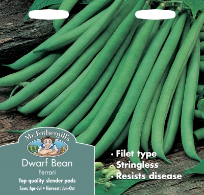 Dwarf French Bean Seeds Ferrari by Mr Fothergill's