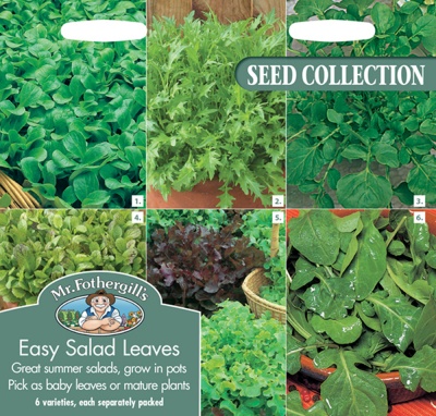 Easy Salad Leaves Collection by Mr Fothergill's