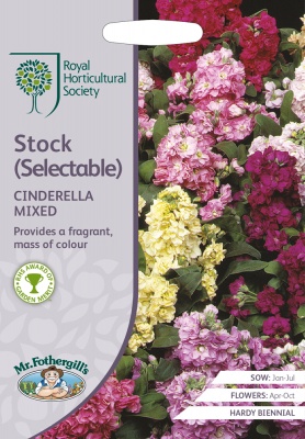 RHS Stock Seeds Cinderella Series Mixed by Mr Fothergill's