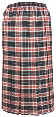 Tartan Pleated Skirts For The Older Women Ladies New Check Skirt Red Blue Black