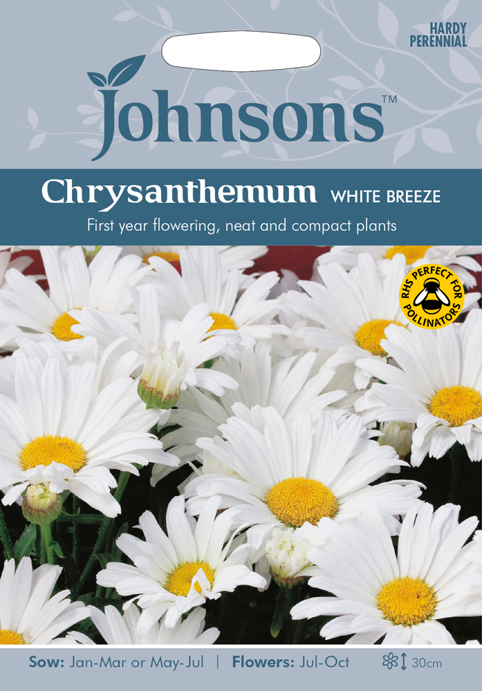 Chrysanthemum Seeds White Breeze By Johnsons Kazco co uk