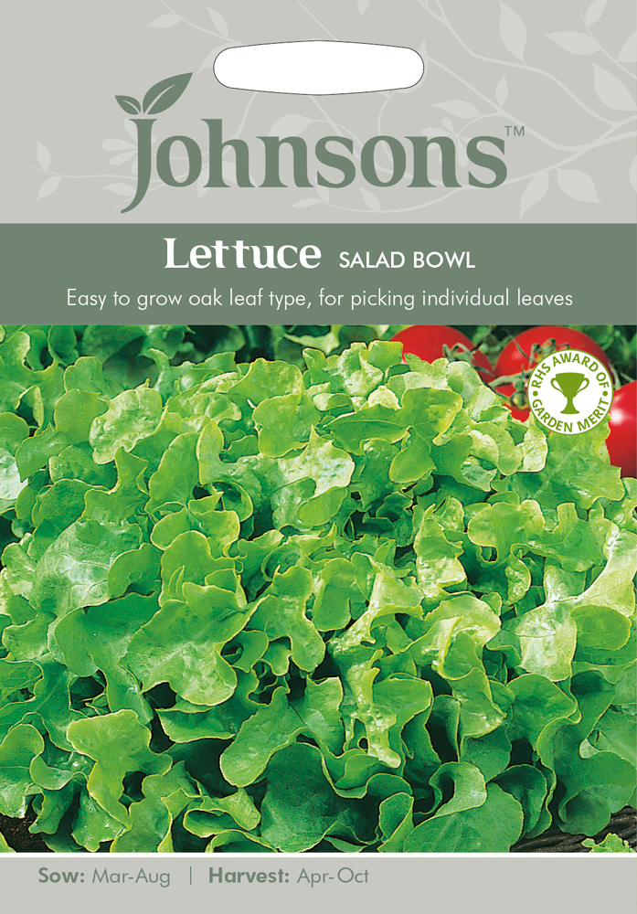 Lettuce 'Salad Bowl' Seeds by Johnsons kazco.co.uk