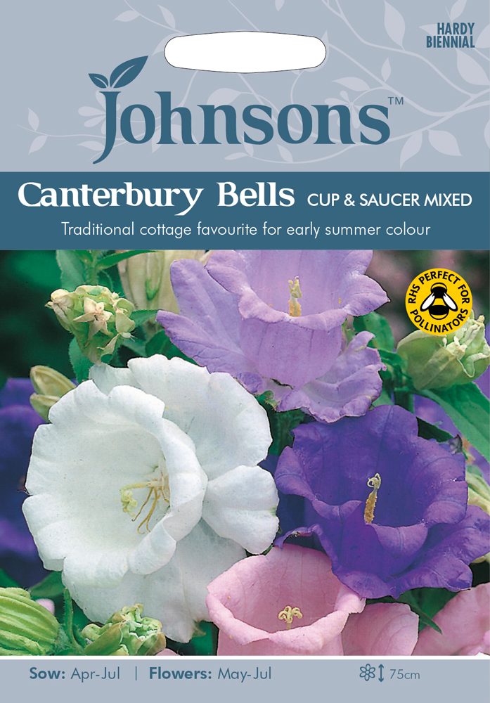 thumbnail interactive-video image 1 of Buy Canterbury Bells - Cup And Saucer Mix Seeds Online | Happy Valley Seeds 1 of 13