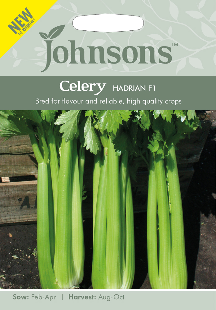 Celery Seeds 'Hadrian F1' by Johnsons kazco.co.uk